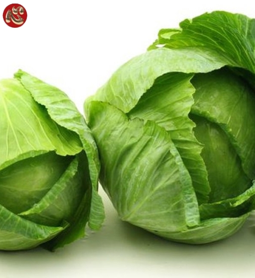 CẢI BẮP TƯƠI