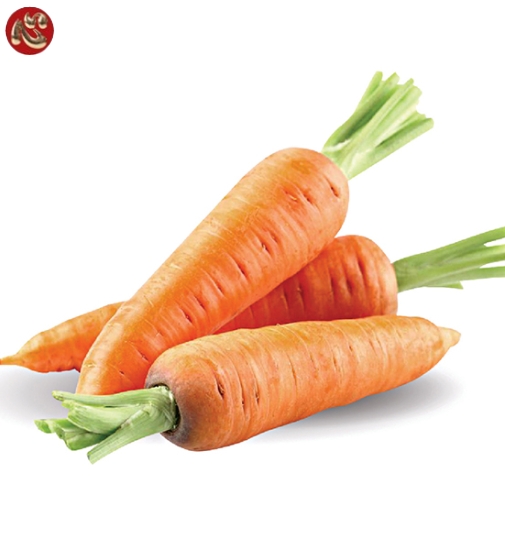 CÀ RỐT TƯƠI