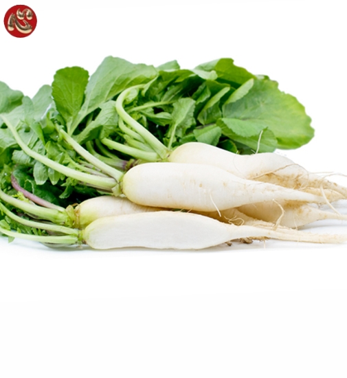 CỦ CẢI TRẮNG 