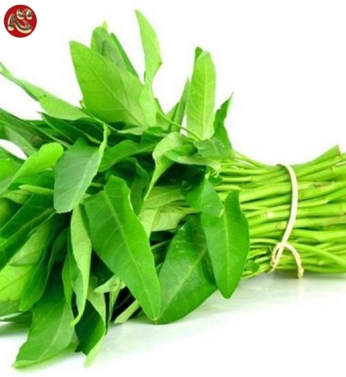 RAU MUỐNG TƯƠI